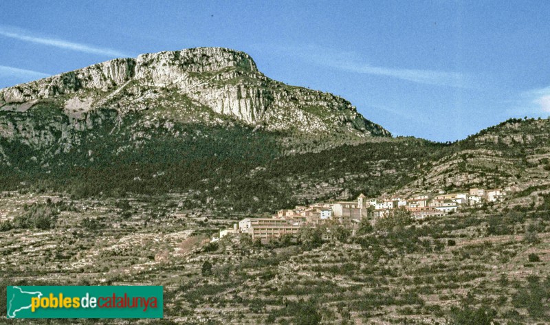 Colldejou - Panoràmica del poble (Foto: <i>Josep M. Vidal-Barraquer i Marfà</i>, 1979) Colldejou - Panoràmica del poble