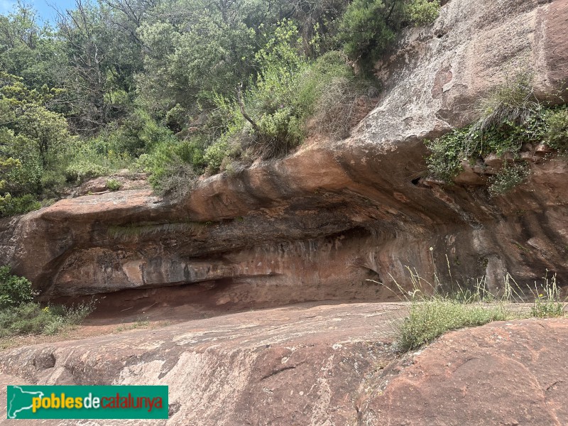 Prades - Camí de l'Abellera (Foto: Albert Esteves, 2025) Prades - Camí de l'Abellera