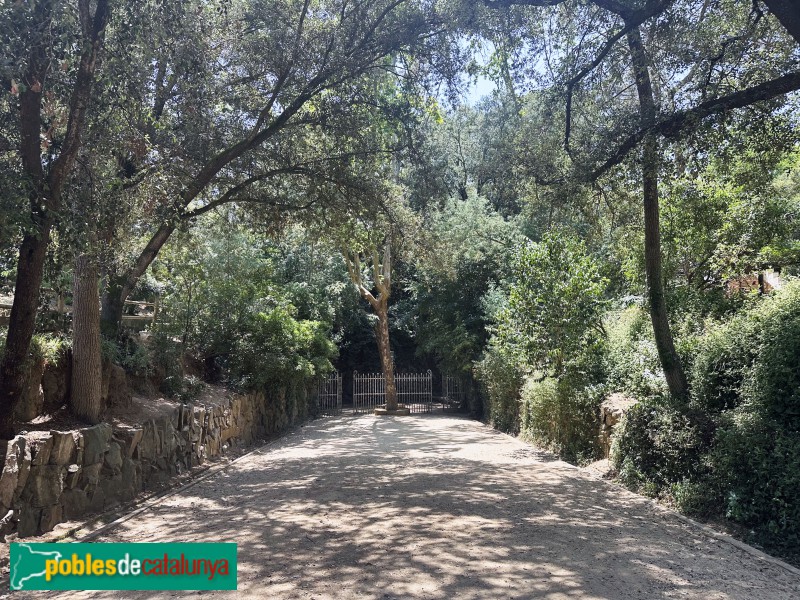 Argentona - Font Picant