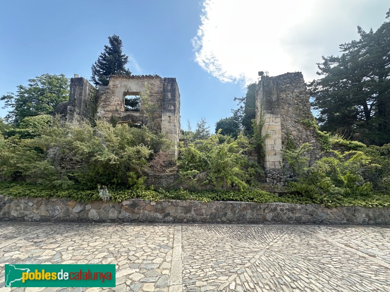 Monestir de Poblet - Ruïnes del palau abacial