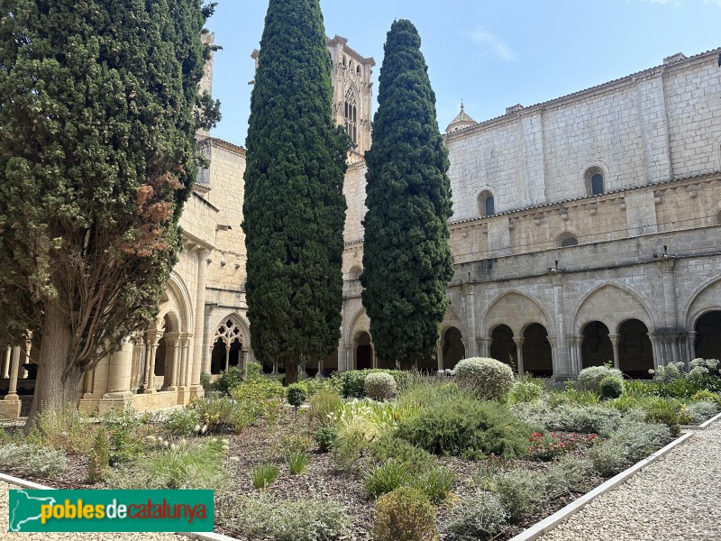 Monestir de Poblet - Claustre