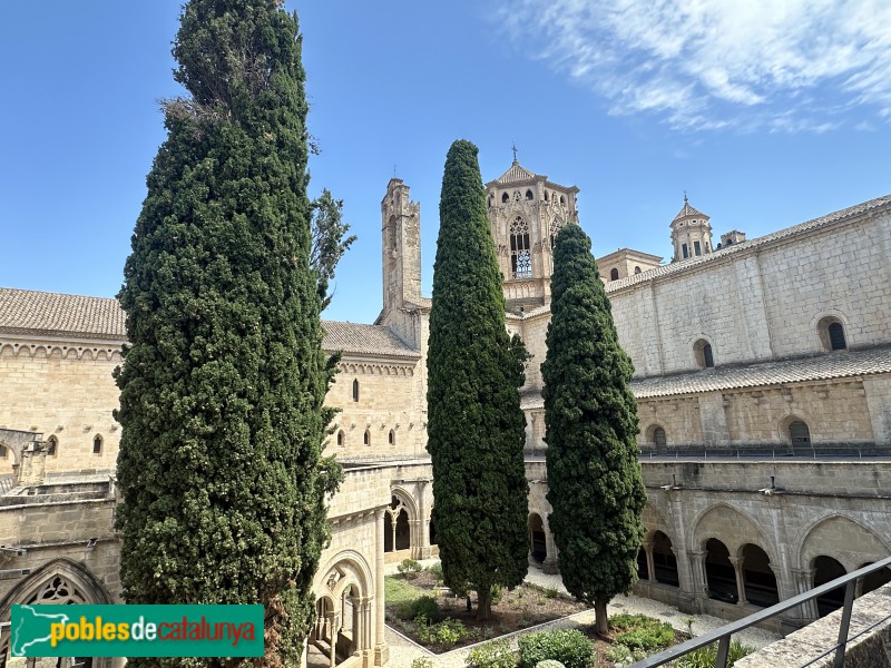 Monestir de Poblet - Claustre