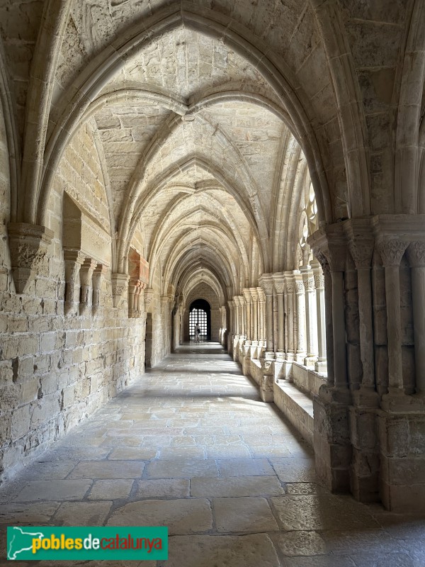 Monestir de Poblet - Claustre