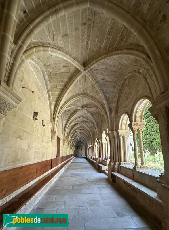Monestir de Poblet - Claustre