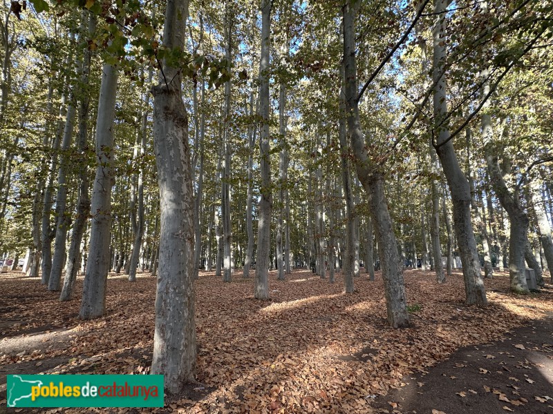 Girona - Parc de la Devesa