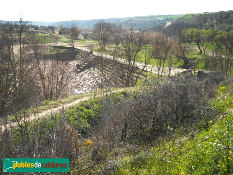 Alfés - Resclosa gran del riu Set