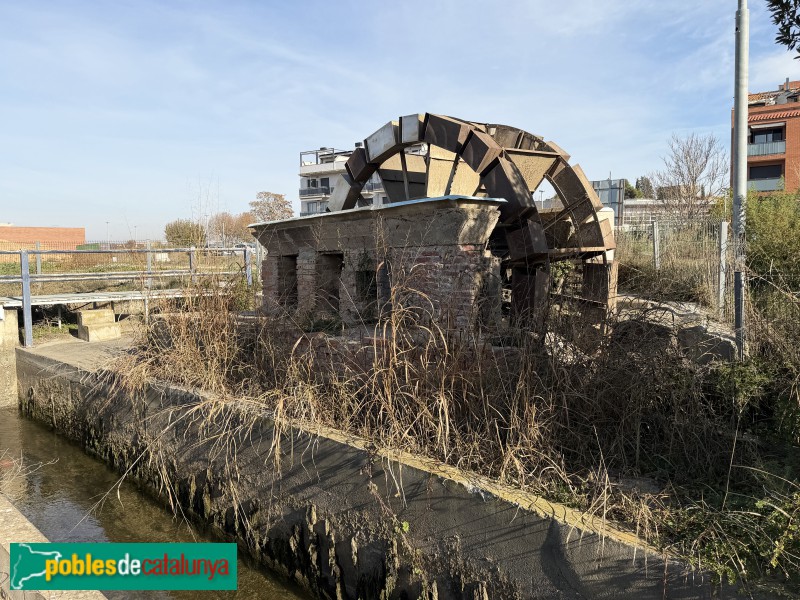 Albatàrrec - Sínia de la séquia de Torres (Foto: Albert Esteves, 2025) Albatàrrec - Sínia de la séquia de Torres