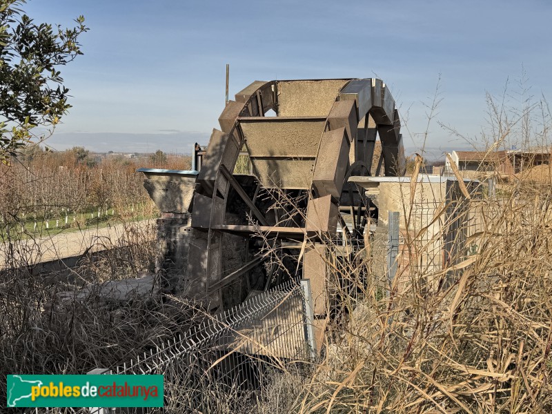 Albatàrrec - Sínia de la séquia de Torres (Foto: Albert Esteves, 2025) Albatàrrec - Sínia de la séquia de Torres