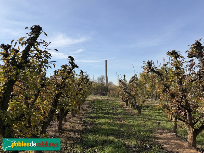 Montoliu de Lleida - Fumera del Molí del Nastasi