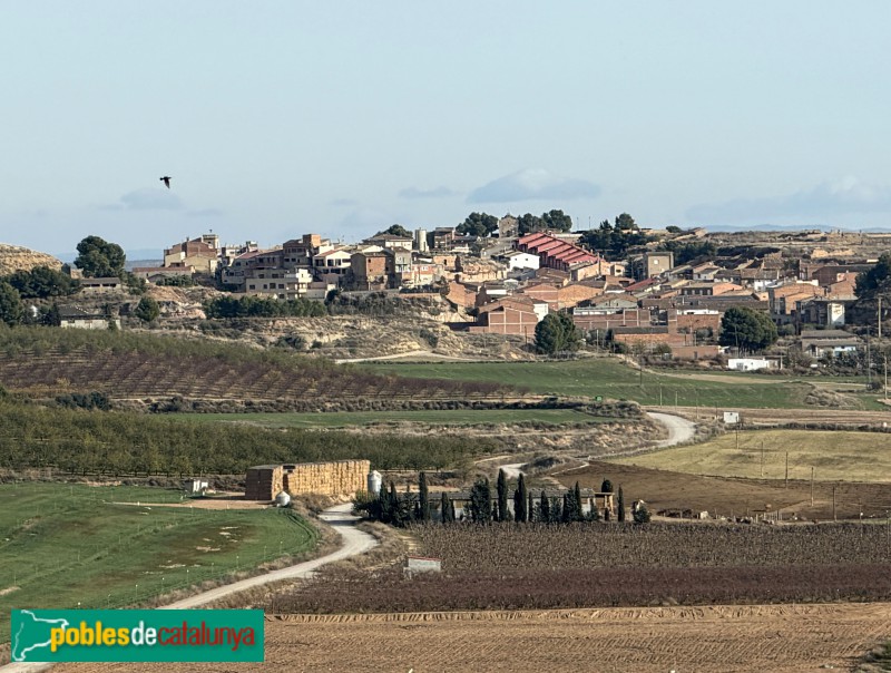 Alfés - Panoràmica des de Sunyer