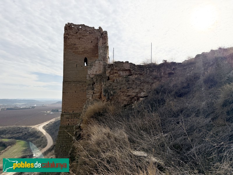Sarroca de Lleida - Castell de Sarroca