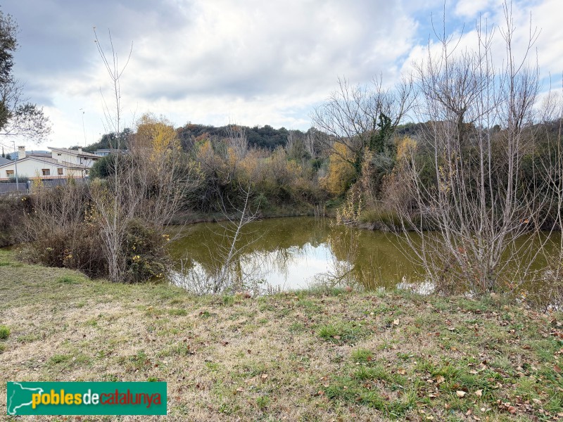 Celrà - Bassa de Can Marturi