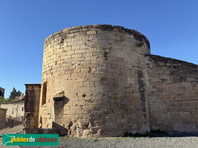 Torrebesses - Església de Sant Salvador. Absis