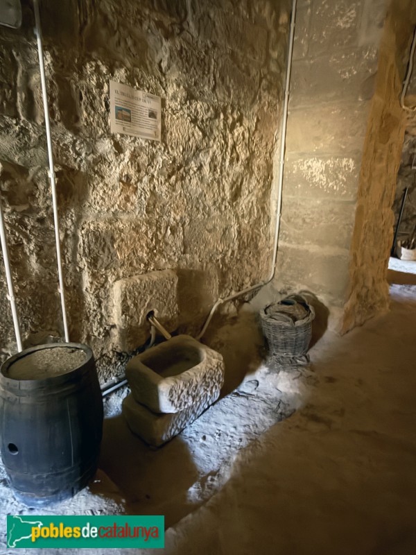 Torrebesses - Centre d'Interpretació de la Pedra Seca. Trull o cup de vi