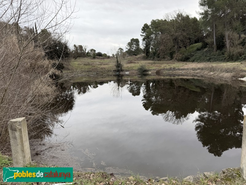 Sant Julià de Ramis - Bassa de Can Mur Vell