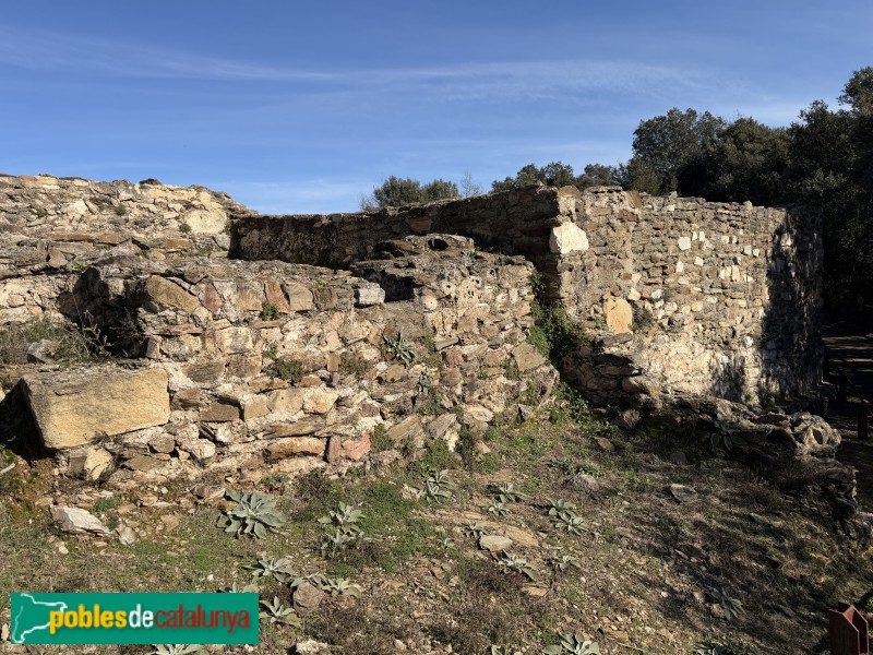 Sant Julià de Ramis - Poblat ibèric de Kerunta (Foto: Albert Esteves, 2026) Sant Julià de Ramis - Poblat ibèric de Kerunta