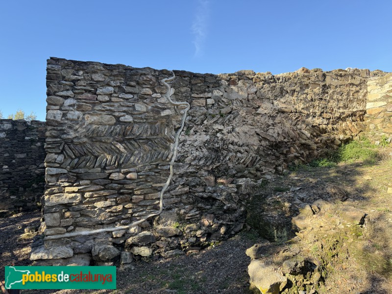 Sant Julià de Ramis - Poblat ibèric de Kerunta (Foto: Albert Esteves, 2026) Sant Julià de Ramis - Poblat ibèric de Kerunta