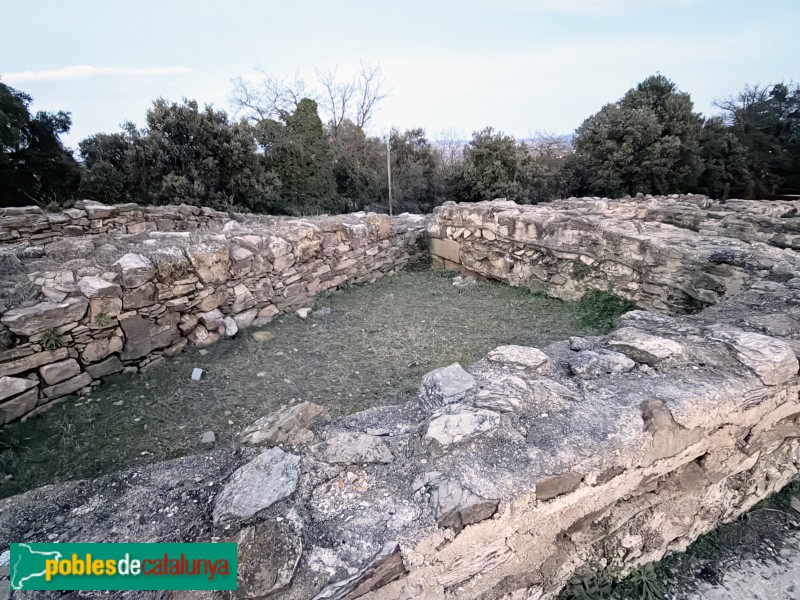 Sant Julià de Ramis - Poblat ibèric de Kerunta (Foto: Albert Esteves, 2026) Sant Julià de Ramis - Poblat ibèric de Kerunta