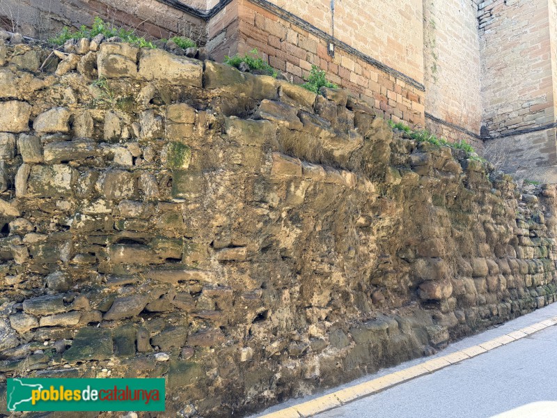 Alcarràs - Restes del castell