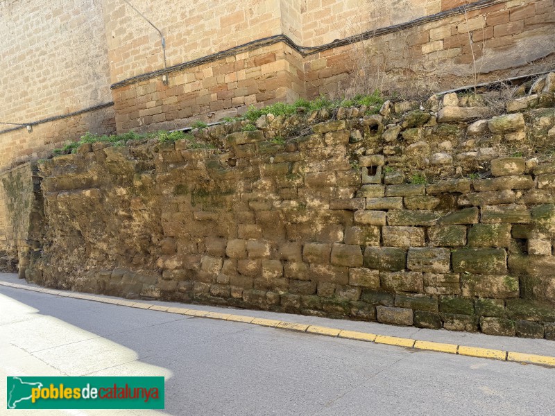 Alcarràs - Restes del castell