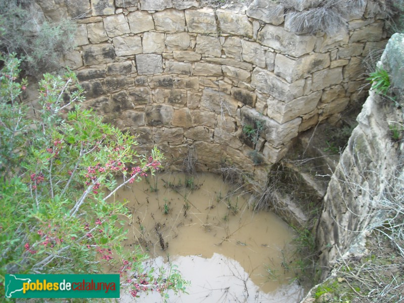 Aitona - Bassa del mas Llauradó