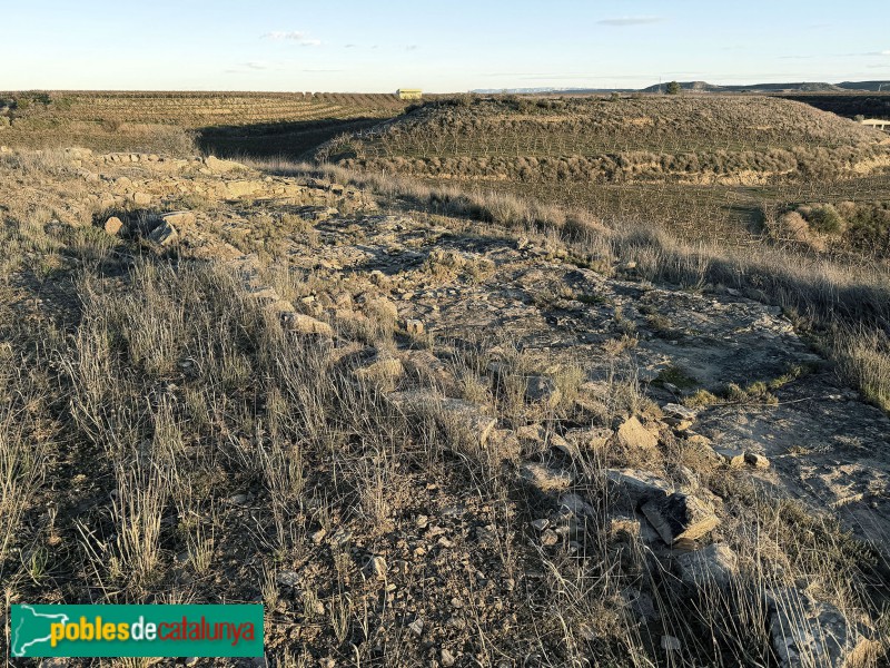 Aitona - Jaciment prehistòric de Genó