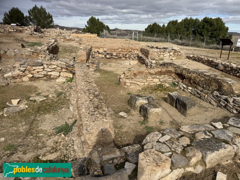 Seròs - Jaciment de Bovalar (Foto: Albert Esteves, 2026) Seròs - Jaciment de Bovalar