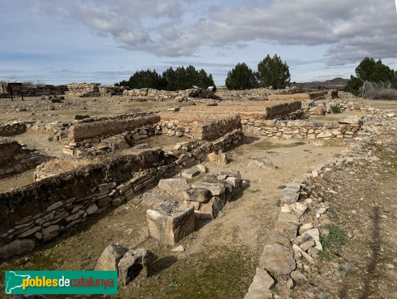 Seròs - Jaciment de Bovalar (Foto: Albert Esteves, 2026) Seròs - Jaciment de Bovalar