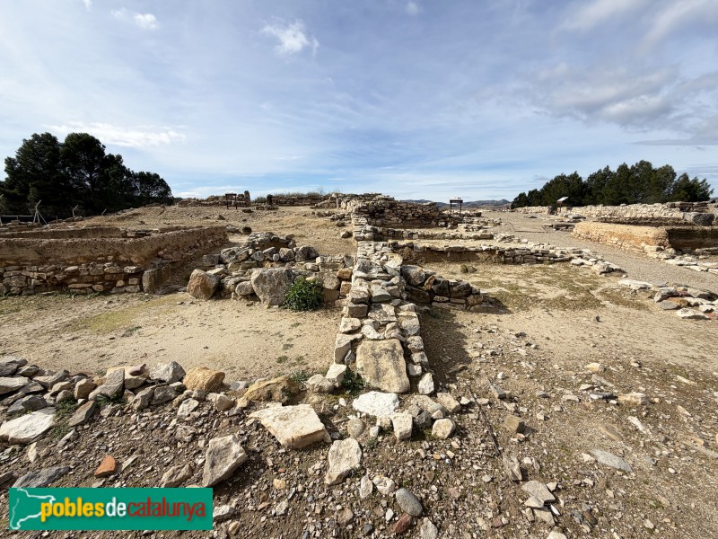 Seròs - Jaciment de Bovalar (Foto: Albert Esteves, 2026) Seròs - Jaciment de Bovalar