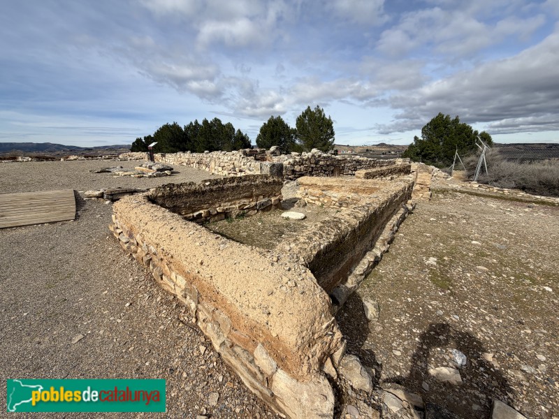 Seròs - Jaciment de Bovalar (Foto: Albert Esteves, 2026) Seròs - Jaciment de Bovalar