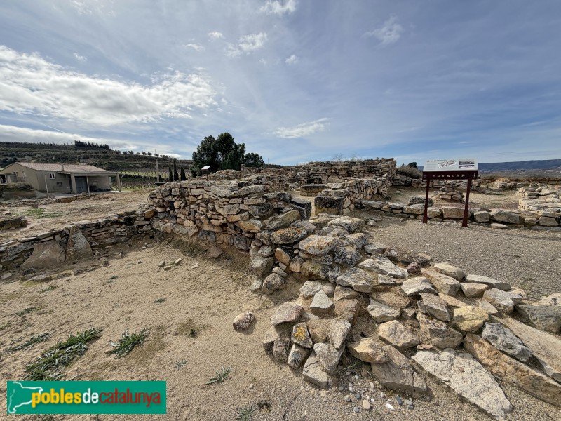 Seròs - Jaciment de Bovalar (Foto: Albert Esteves, 2026) Seròs - Jaciment de Bovalar