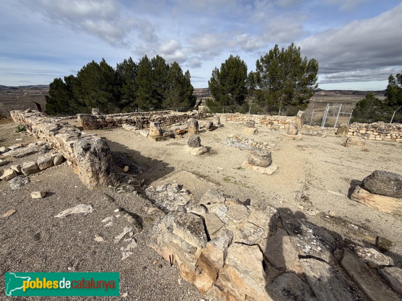 Seròs - Jaciment de Bovalar. Basílica paleocristiana (Foto: Albert Esteves, 2026) Seròs - Jaciment de Bovalar. Basílica paleocristiana