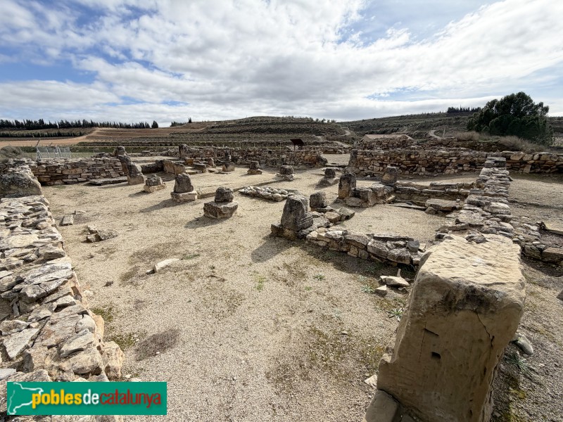 Seròs - Jaciment de Bovalar (Foto: Albert Esteves, 2026) Seròs - Jaciment de Bovalar