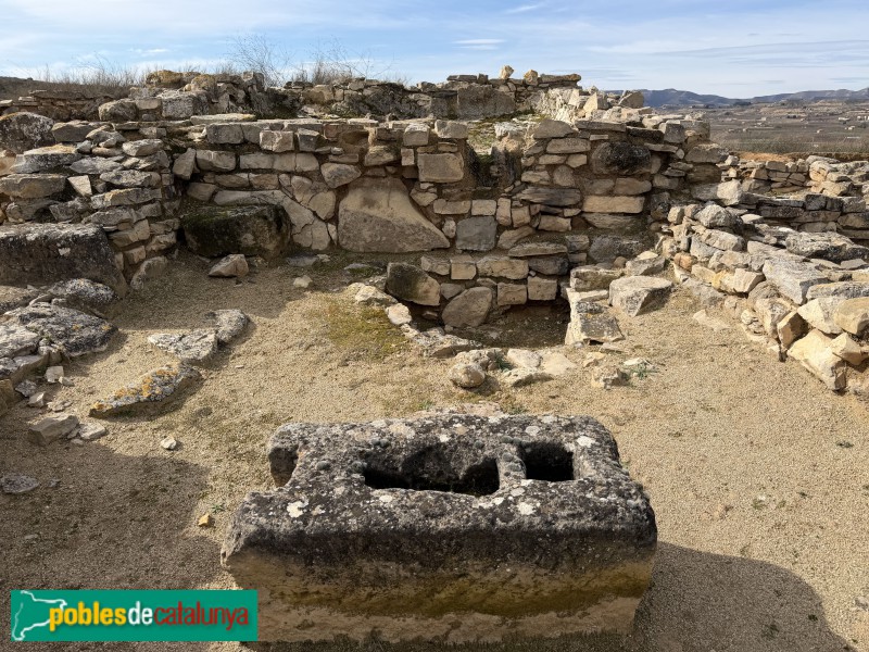 Seròs - Jaciment de Bovalar (Foto: Albert Esteves, 2026) Seròs - Jaciment de Bovalar