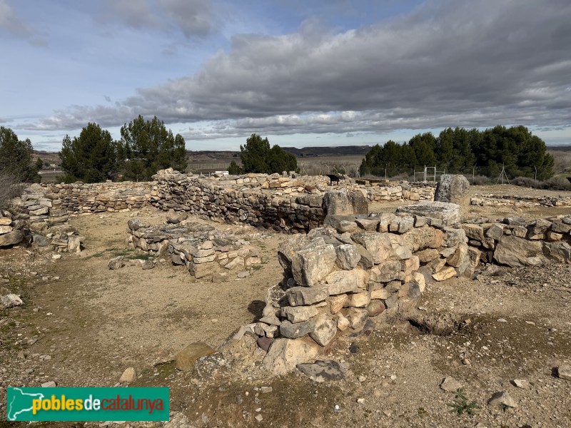 Seròs - Jaciment de Bovalar (Foto: Albert Esteves, 2026) Seròs - Jaciment de Bovalar