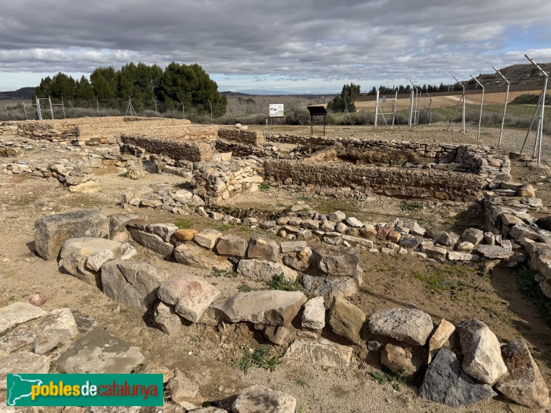 Seròs - Jaciment de Bovalar (Foto: Albert Esteves, 2026) Seròs - Jaciment de Bovalar