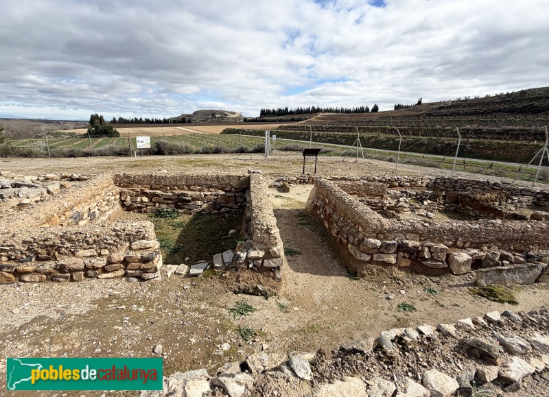 Seròs - Jaciment de Bovalar (Foto: Albert Esteves, 2026) Seròs - Jaciment de Bovalar