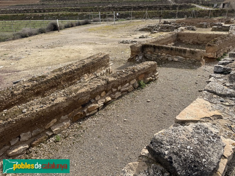 Seròs - Jaciment de Bovalar (Foto: Albert Esteves, 2026) Seròs - Jaciment de Bovalar