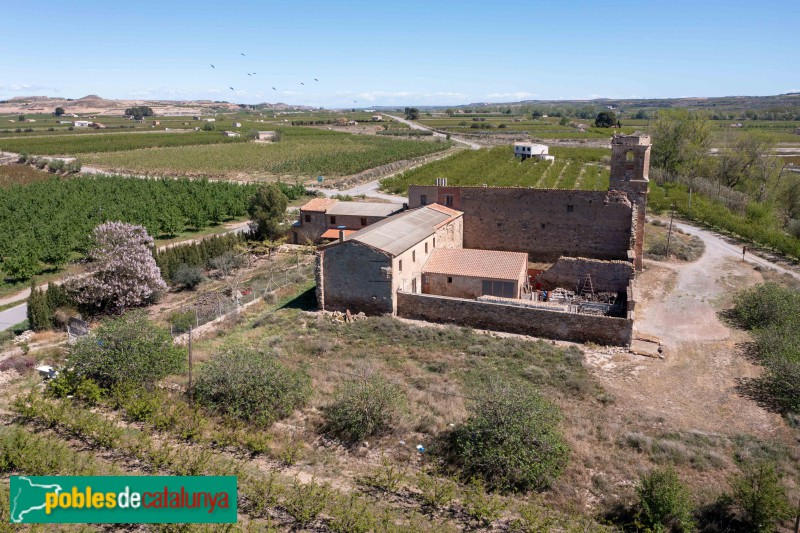 Massalcoreig - Monestir de Santa Maria d'Escarp (Foto: Francesc Vidal-Barraquer, 2023) Massalcoreig - Monestir de Santa Maria d'Escarp