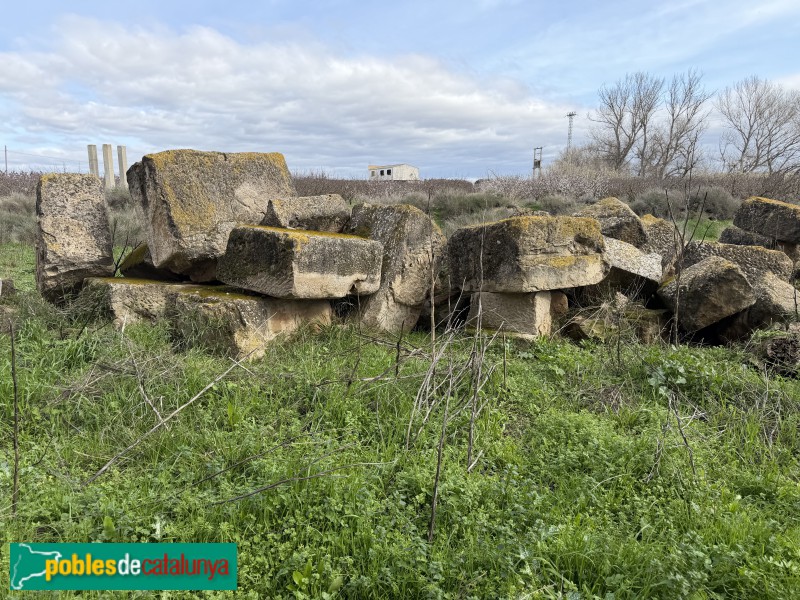 Massalcoreig - Monestir de Santa Maria d'Escarp (Foto: Albert Esteves, 2026) Massalcoreig - Monestir de Santa Maria d'Escarp