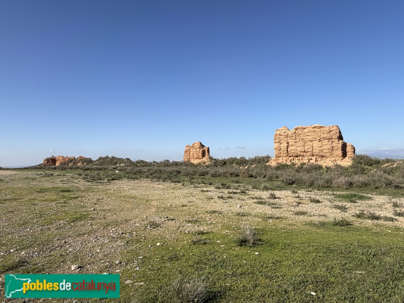 Alguaire - Castell-comanda d'Alguaire (Foto: Albert Esteves, 2026) Alguaire - Castell-comanda d'Alguaire