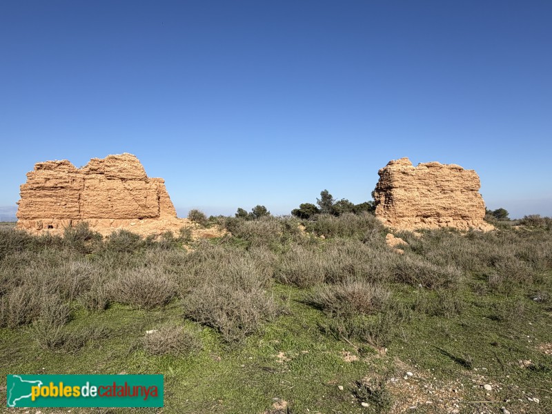 Alguaire - Castell-comanda d'Alguaire (Foto: Albert Esteves, 2026) Alguaire - Castell-comanda d'Alguaire