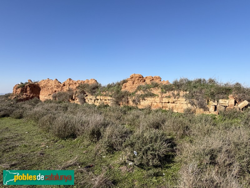 Alguaire - Castell-comanda d'Alguaire (Foto: Albert Esteves, 2026) Alguaire - Castell-comanda d'Alguaire