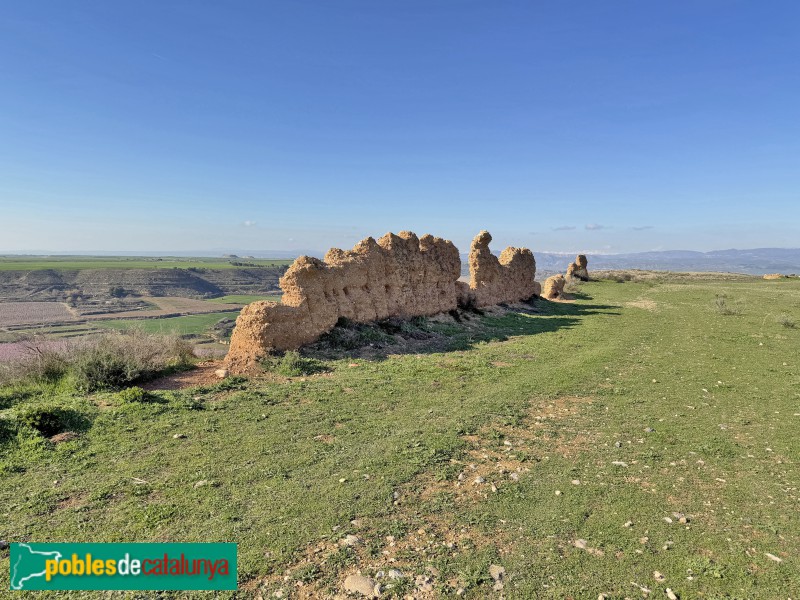 Alguaire - Castell-comanda d'Alguaire (Foto: Albert Esteves, 2026) Alguaire - Castell-comanda d'Alguaire
