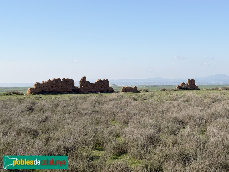 Alguaire - Castell-comanda d'Alguaire (Foto: Albert Esteves, 2026) Alguaire - Castell-comanda d'Alguaire
