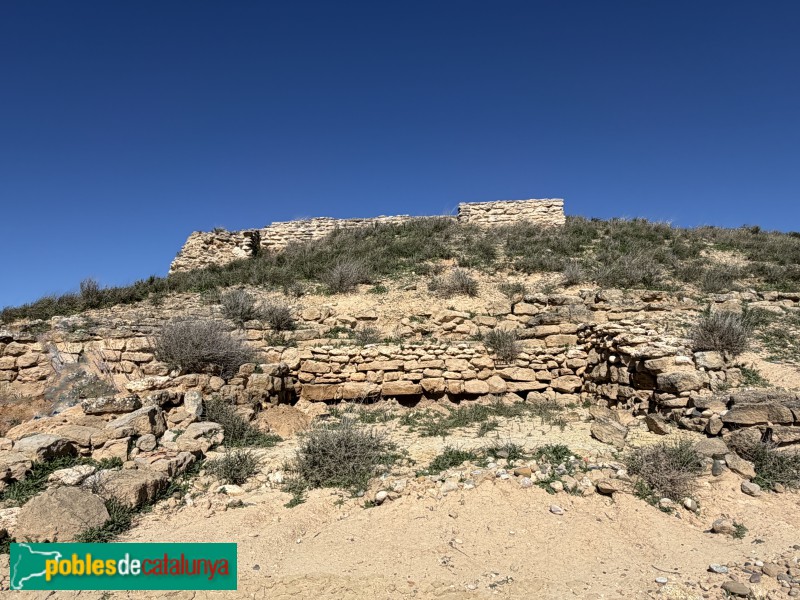 Almacelles - Castell de la Saira (Foto: Albert Esteves, 2026) Almacelles - Castell de la Saira