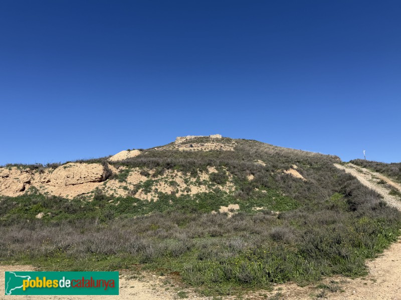 Almacelles - Castell de la Saira (Foto: Albert Esteves, 2026) Almacelles - Castell de la Saira