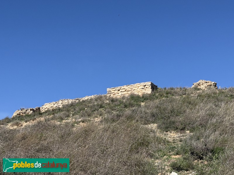 Almacelles - Castell de la Saira (Foto: Albert Esteves, 2026) Almacelles - Castell de la Saira