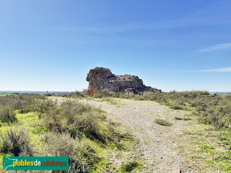 Almacelles - Castell de la Saira (Foto: Albert Esteves, 2026) Almacelles - Castell de la Saira