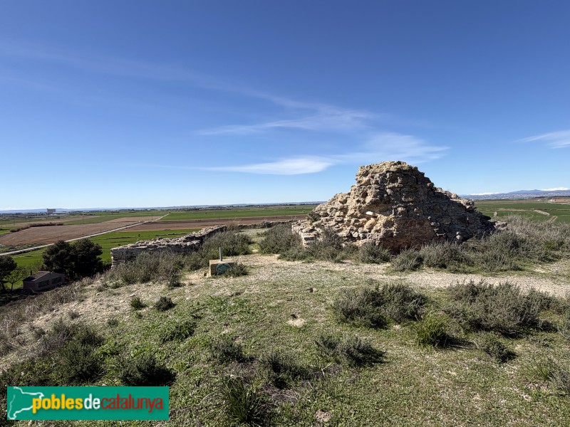 Almacelles - Castell de la Saira (Foto: Albert Esteves, 2026) Almacelles - Castell de la Saira